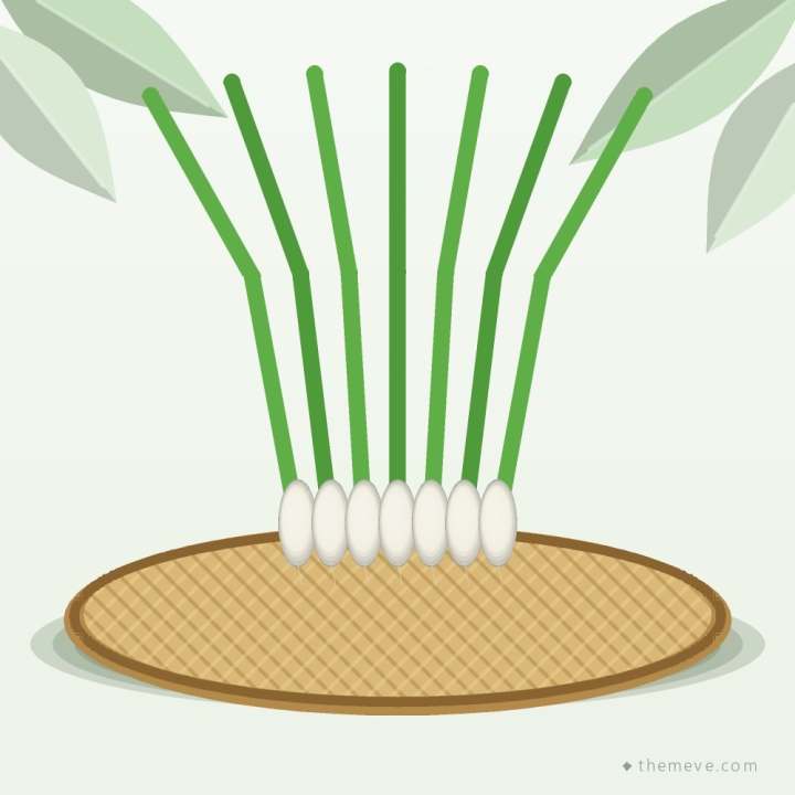 Spring Onion